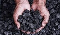 Coal (HBA 2) : 4.100 kcal/kg GAR