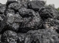 Coal (HBA 3) : 3.400 kcal/kg GAR