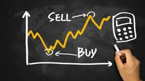 Equity investment (ownership of a company)