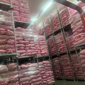 Red Onion 5 kg